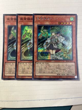 Wynn the Wind Channeler Secret Rare JP019 Super Set of 2