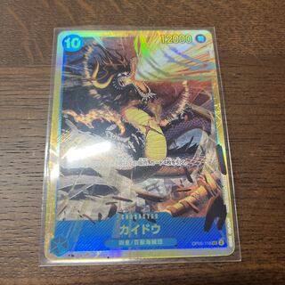 Kaido SEC OP05-118