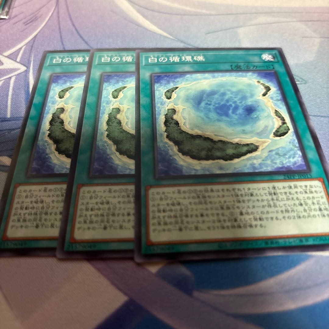 White Circulating Reef Normal