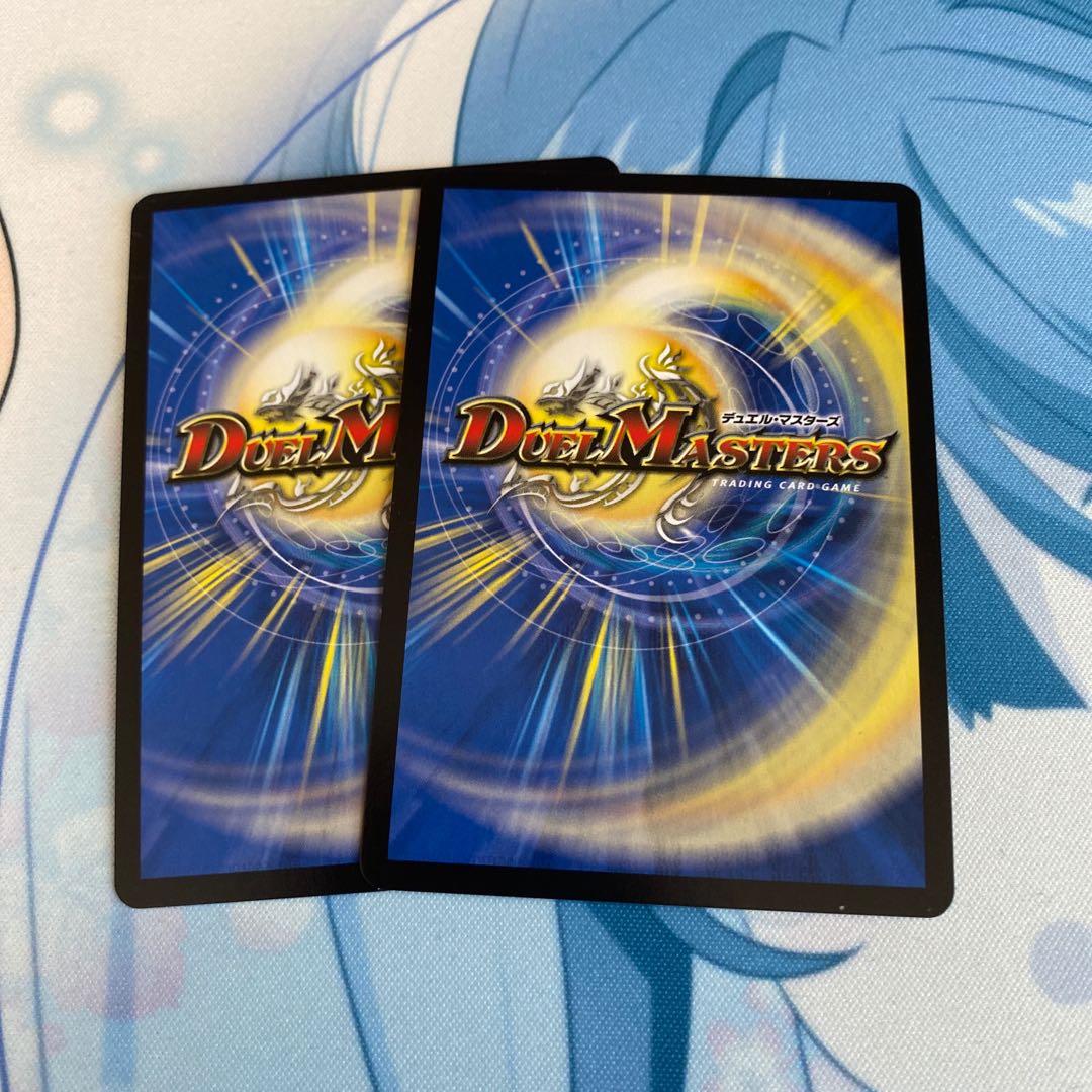 「絶対の楯騎士」 2枚