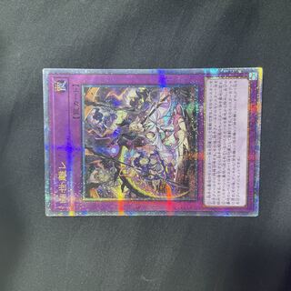 Dipterocarpus japonicum (species of croaker)