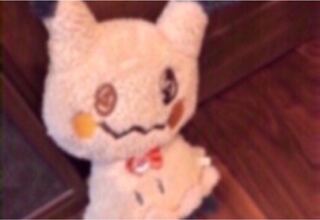 けんちん汁様専用