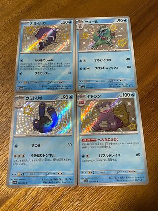 ヤドラン S 220/190 ナミイルカ　S  228/190 セゴール　S  234/190