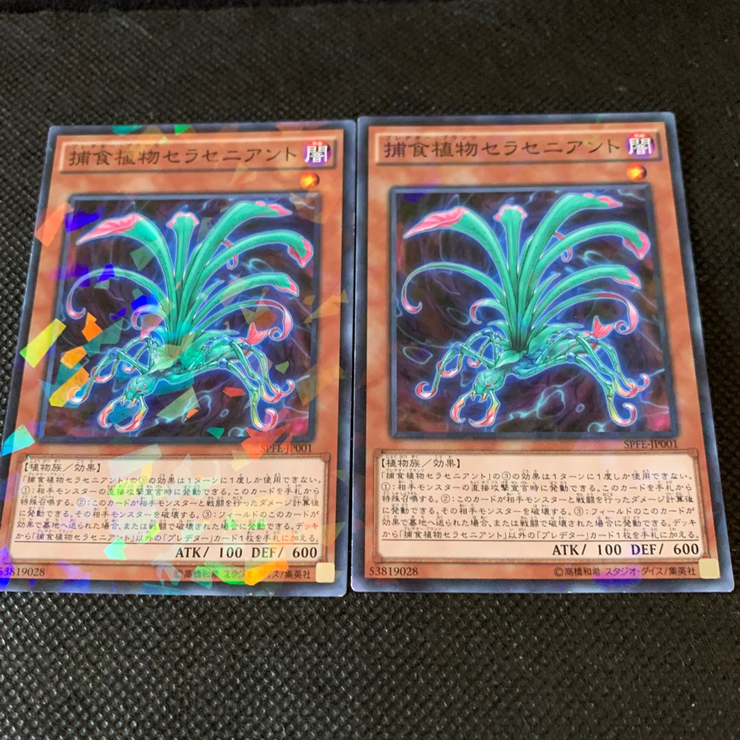 捕食植物セラセニアント P-N