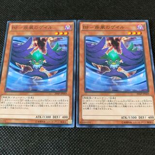 BF-疾風のゲイル P-N