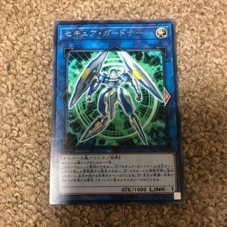 Secure Gardna Rare JP043