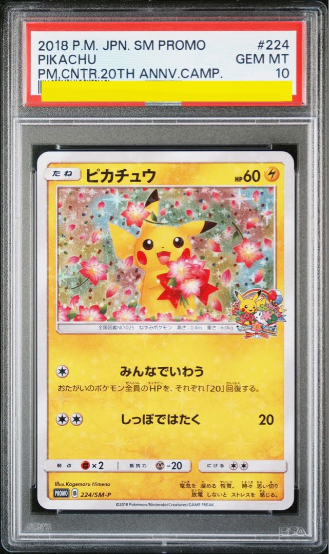 Pikachu Minna Iuau psa10