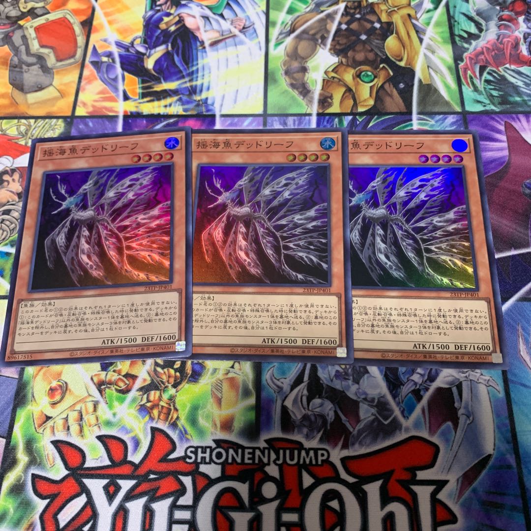 揺海魚デッドリーフ スーパー