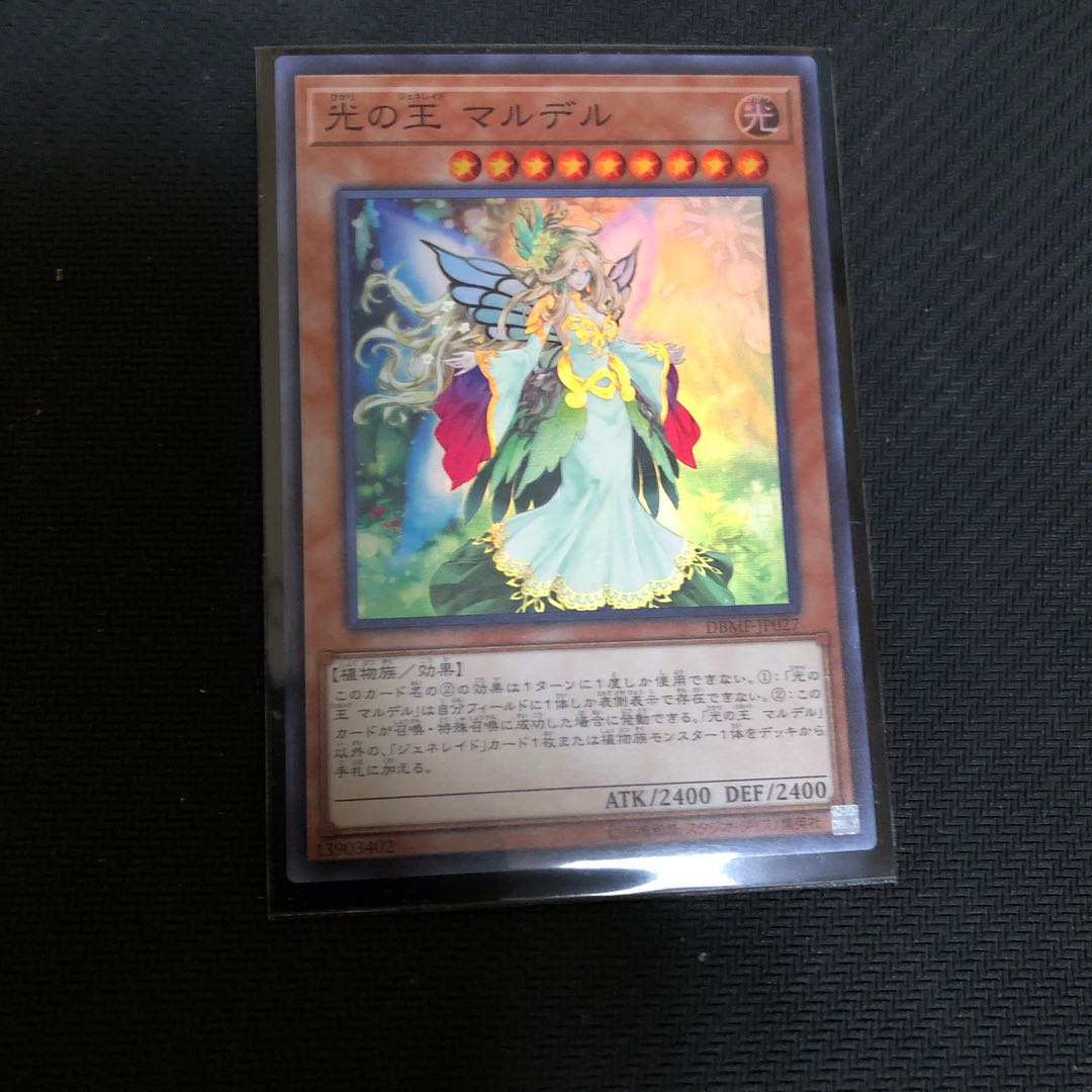 光の王 マルデル SR