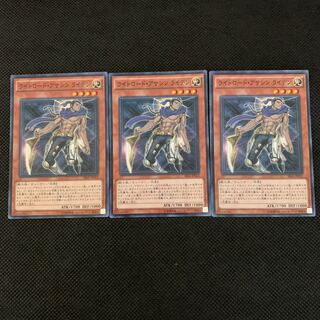 ライトロード・アサシン ライデン P-N