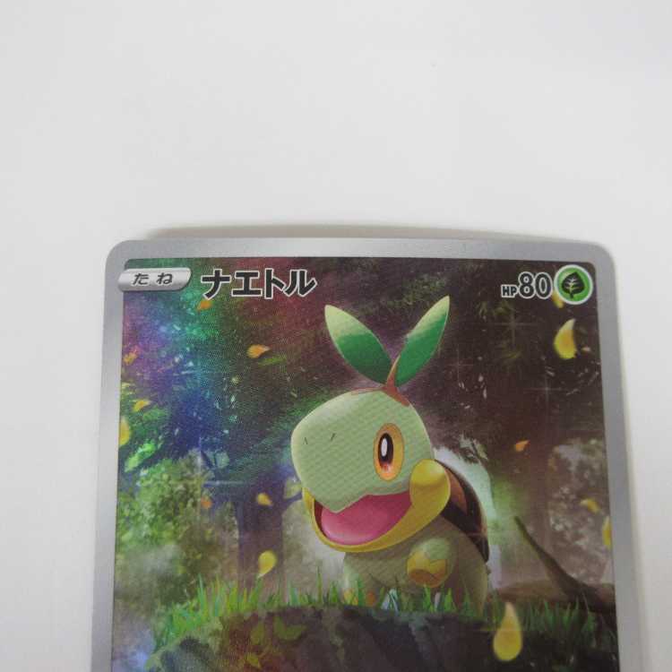 Pokémon Card Turtwig AR 206/172 S12a [M0005