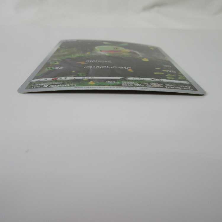 Pokémon Card Turtwig AR 206/172 S12a [M0005