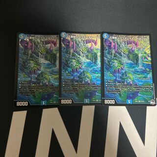 五番龍 レイクポーチャー ParZero SR S2/S8