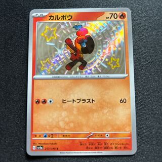 カルボウ S 217/190 1枚