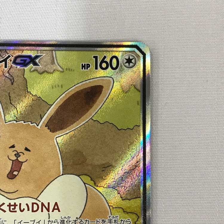 073MC505A Pokémon card SR EeveeGX SP Art (Used) （194962767