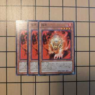 焔虎フレイムタイガー