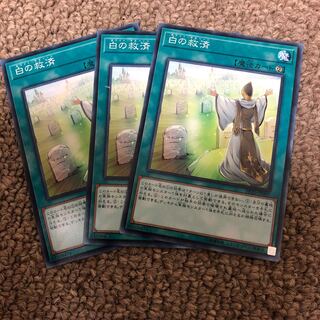 Whitefish Salvage Normal JP007