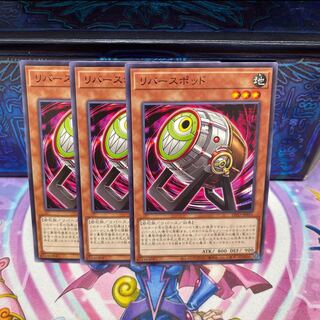 P屋　No.183 リバースポッド【ノーマル】