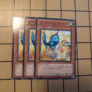 リード・バタフライ