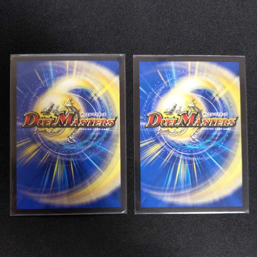 For the exclusive use of Mr. Toroika