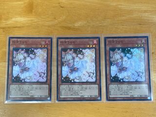 Ash Blossom & Joyous Spring Super Rare QCDB-JP021