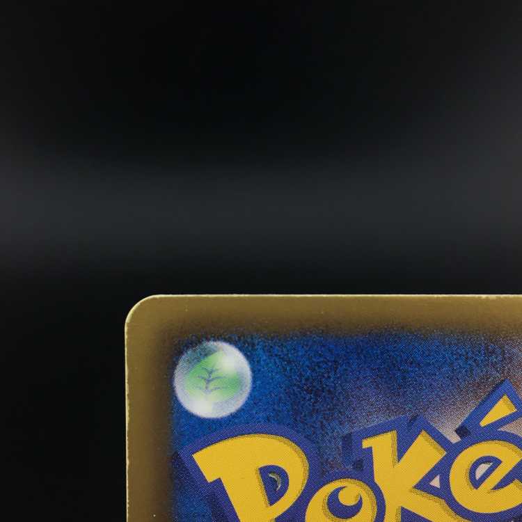 pokemon card professor juniper sr bw