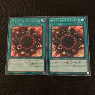 サイバネット・バックドア P-N