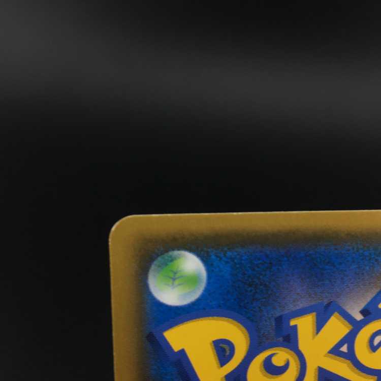 Pokémon cards Moltres & Zapdos & Articuno sr sa