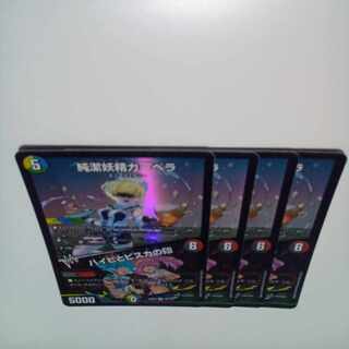 Purity Fairy Gerbera｜Mark of Haibi and Bisca VR 40/112