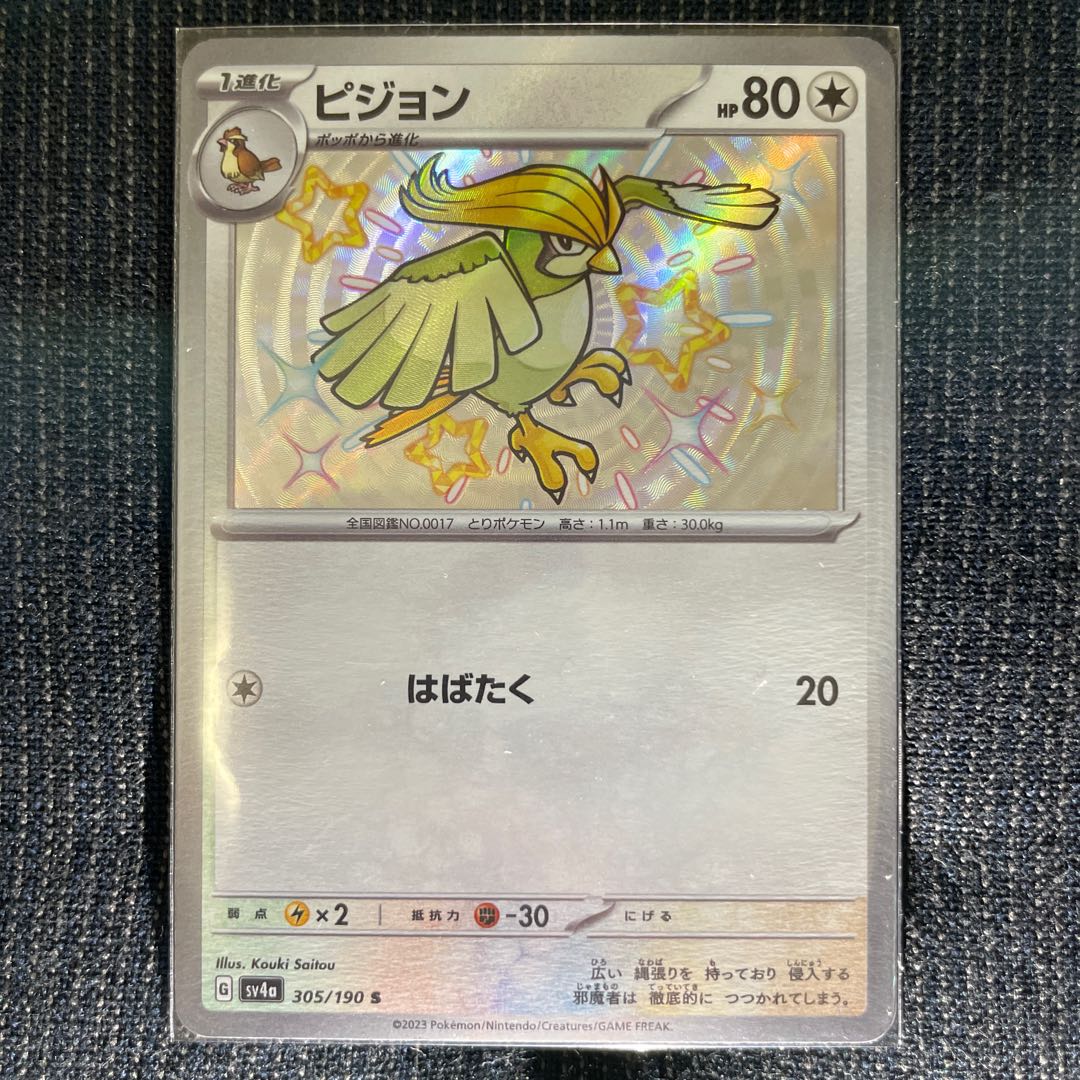 Pidgeotto S 305/190