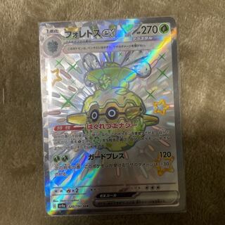 Forretressex SSR 320/190