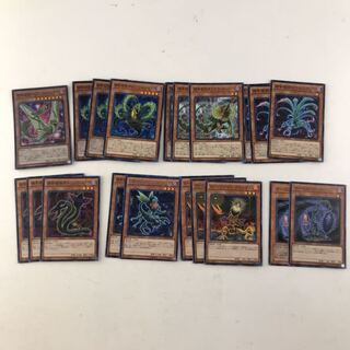 捕食植物デッキパーツ(T0185)