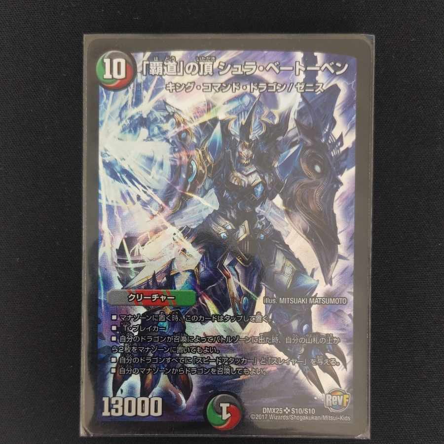 The Summit of "The High Road" Shul Beethoven SR S10/S10