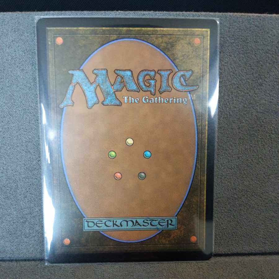 【EN】【Foil】《骨集めのドラコサウルス/Bonehoard Dracosaur》 1枚