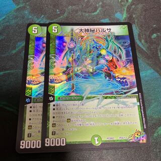 Japanese giant mysterious harusa (Harusa sieboldiana)