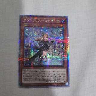 Alomari Squirrel-Rosalina QCSE PHNI-JP022