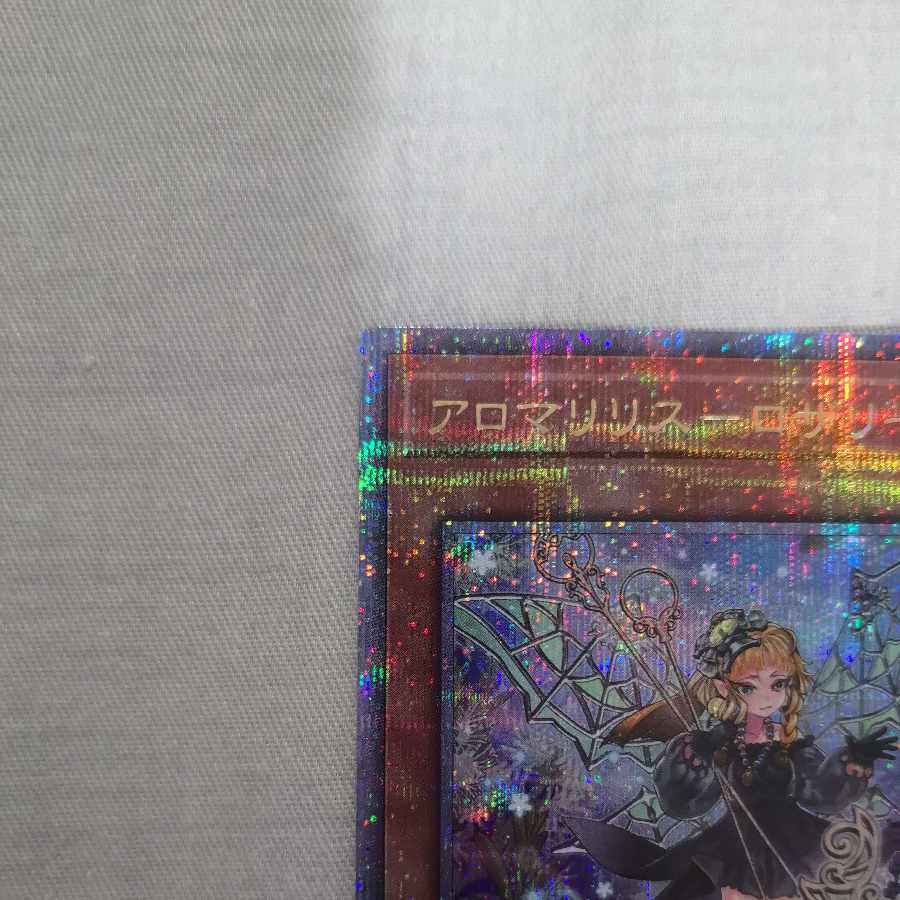 Alomari Squirrel-Rosalina QCSE PHNI-JP022