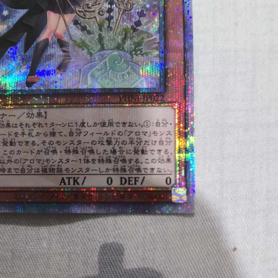 Alomari Squirrel-Rosalina QCSE PHNI-JP022