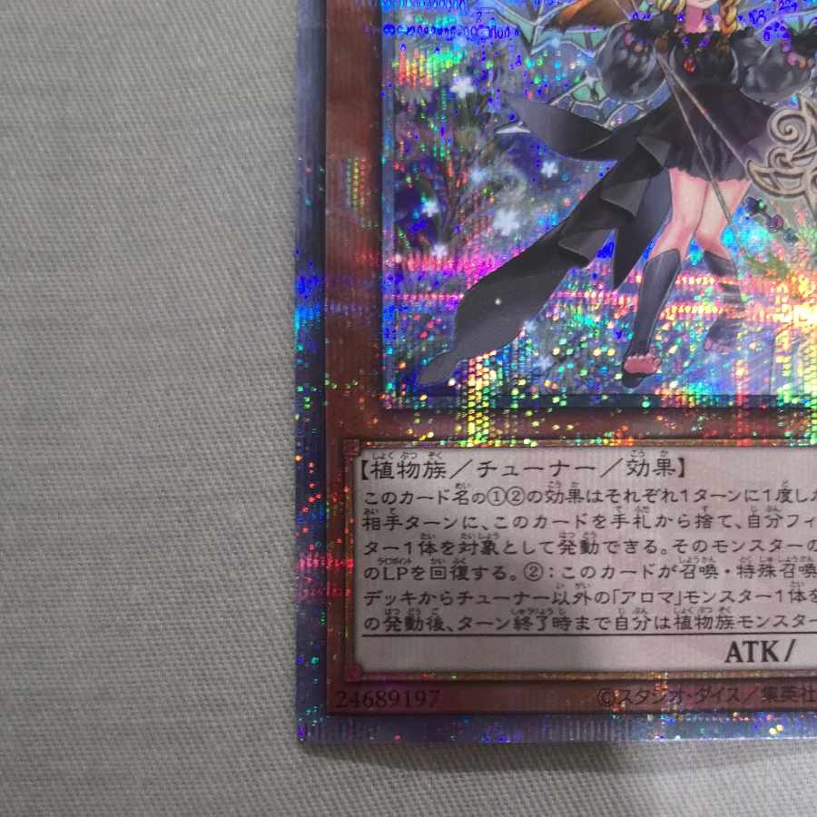 Alomari Squirrel-Rosalina QCSE PHNI-JP022