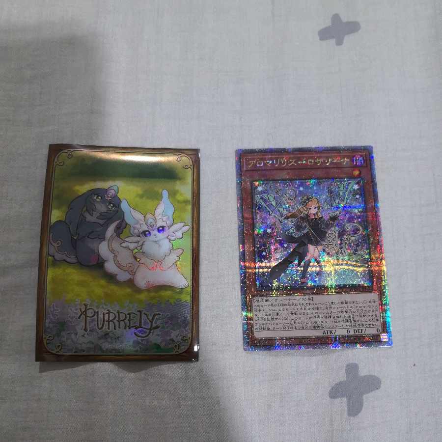 Alomari Squirrel-Rosalina QCSE PHNI-JP022