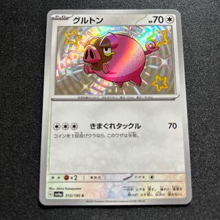 グルトン S 315/190 1枚