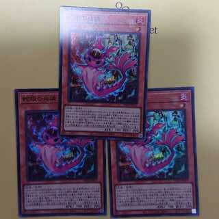 Fire phosphorus with snake eyes Super Rare PHNI-JP012 Set of 3