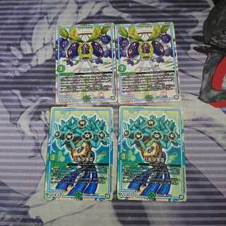 スカップ、パキラキ