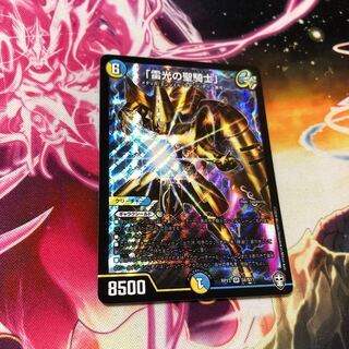 「雷光の聖騎士」