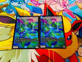 五番龍 レイクポーチャー ParZero SR S2/S8