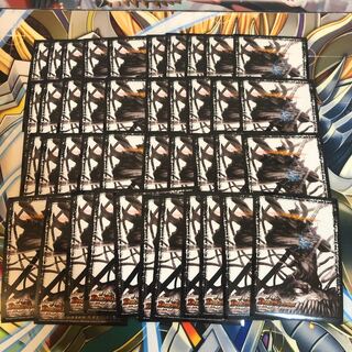 終の怒流牙 ドルゲユキムラ　スリーブ