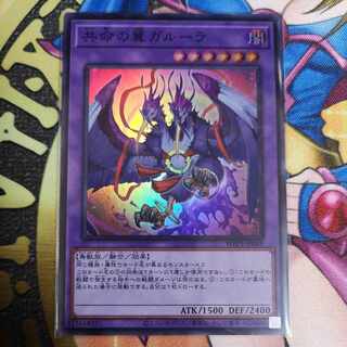 Kangaskhan Super Rare WPP4-JP049