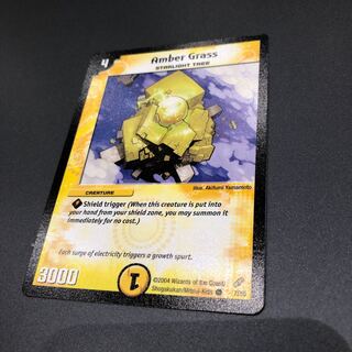 アンバーグラス フランス語