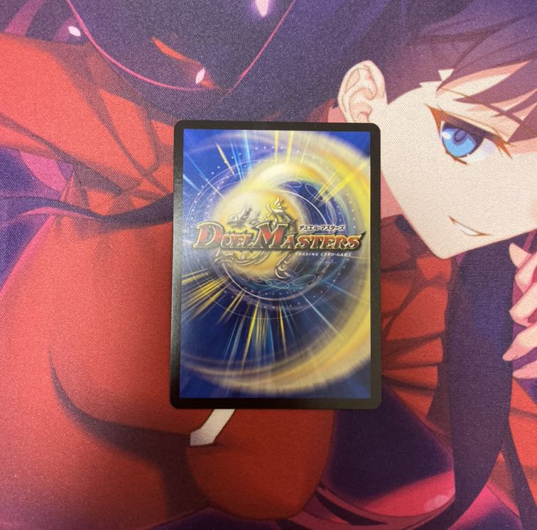 「絶対の楯騎士」