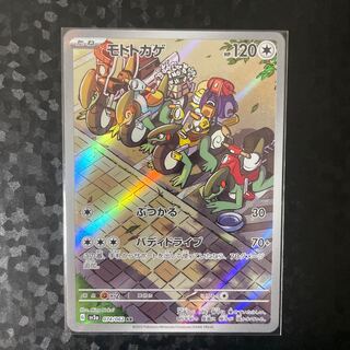 Moto lizard AR 074/062